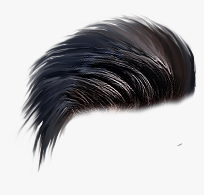 Man Png Hair Style, Transparent Png, Free Download