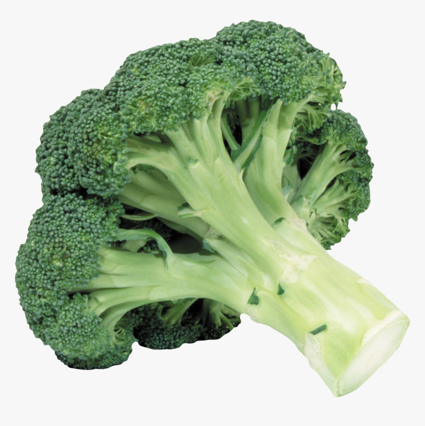 Broccoli Png Image - Broccoli Transparent, Png Download, Free Download