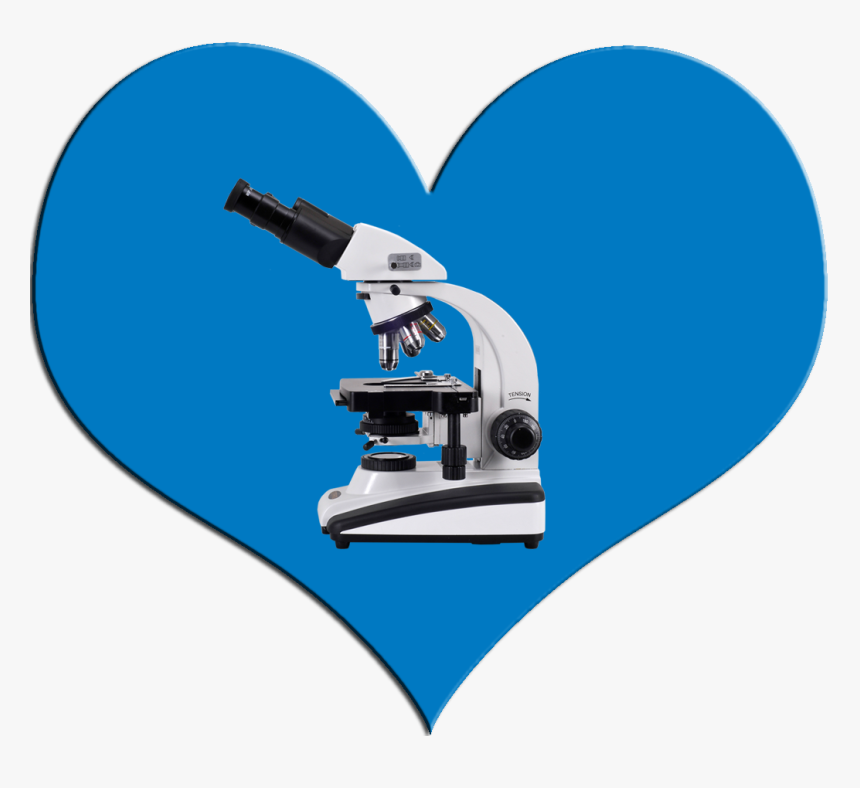 Microscope Clipart , Png Download - Microscope, Transparent Png, Free Download