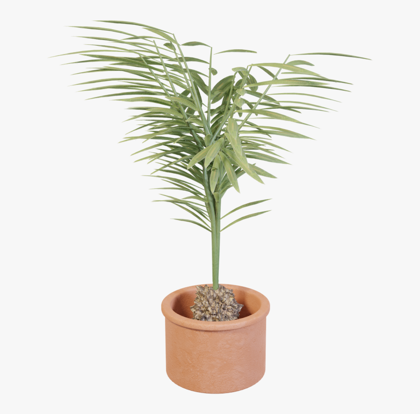 Houseplant, HD Png Download, Free Download