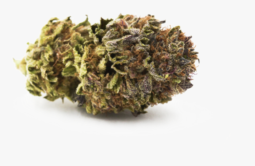 Blue City Diesel Single - Bud, HD Png Download, Free Download