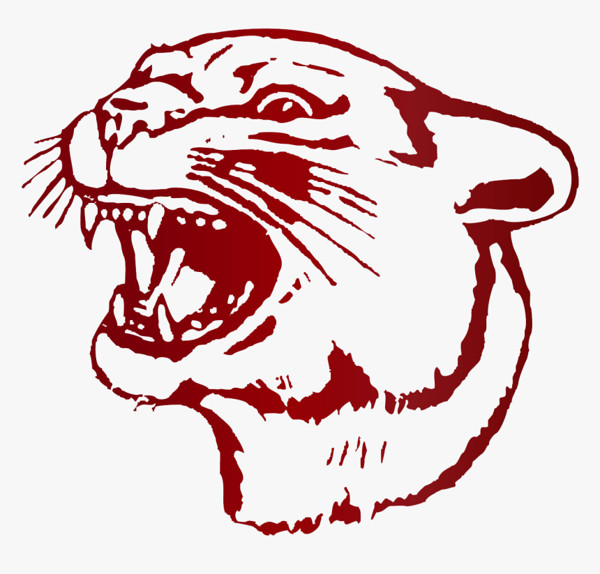 School Home Page - South Decatur High School Cougars, HD Png Download, Free Download