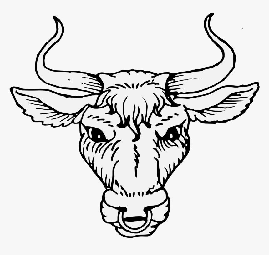 Cattle Heraldry Artist Ox - Bull Head Png, Transparent Png, Free Download