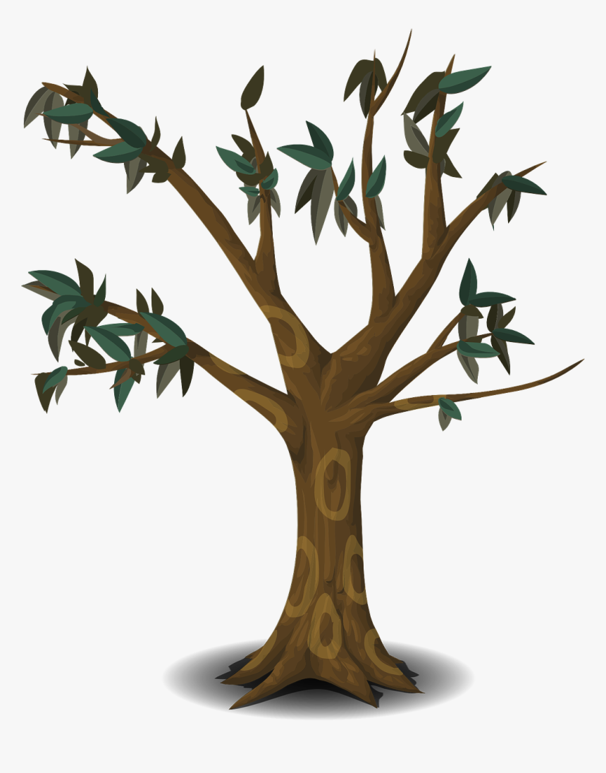 Cartoon Tree Branches Png, Transparent Png, Free Download