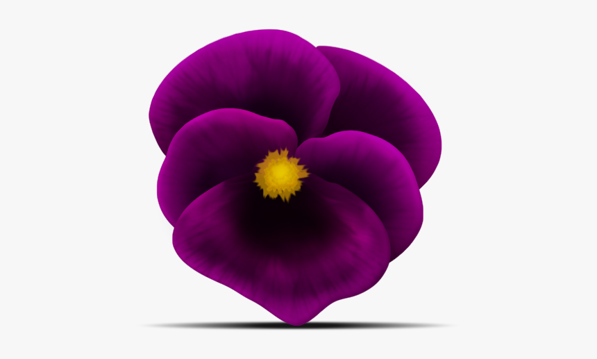 Viola Ffinished 2 - Pansy, HD Png Download, Free Download