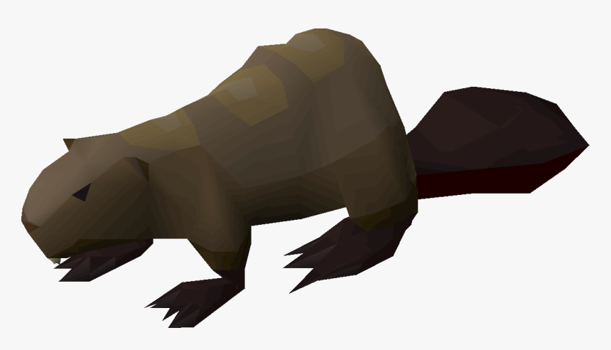 Beaver Pet Osrs, HD Png Download, Free Download