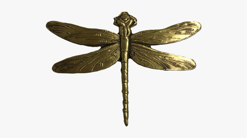 Damselfly, HD Png Download, Free Download