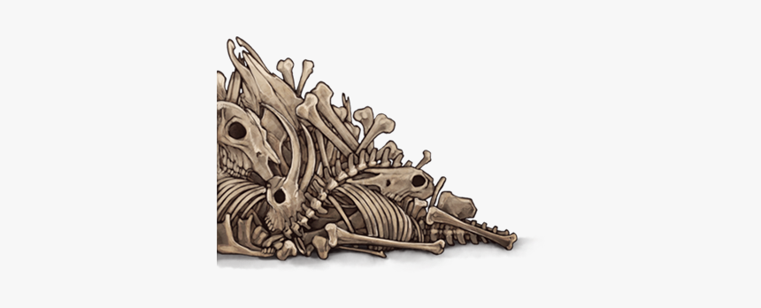 Pile Of Bones Png, Transparent Png, Free Download