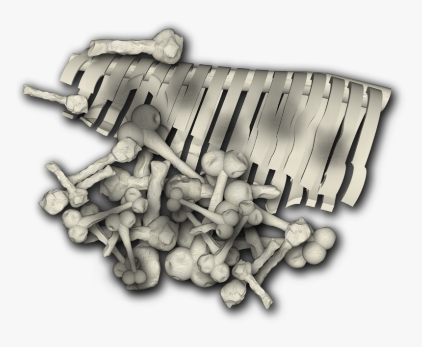 Dundjinni Bones , Png Download - Illustration, Transparent Png, Free Download