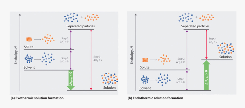 13 - 1 - 1 - Solubility Endothermic, HD Png Download, Free Download