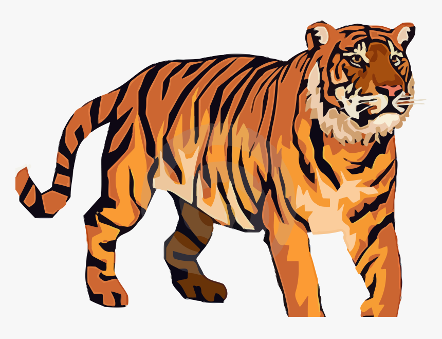 Transparent Were Clipart - Free Tiger Clipart, HD Png Download, Free Download