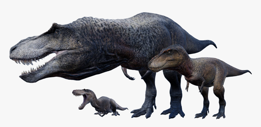 The Isle Wikia - T Rex The Isle, HD Png Download, Free Download