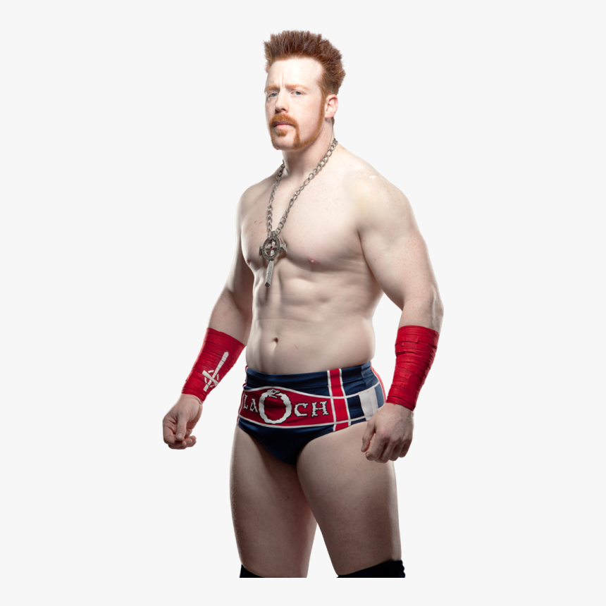 Wwe Sheamus Png 2013, Transparent Png, Free Download