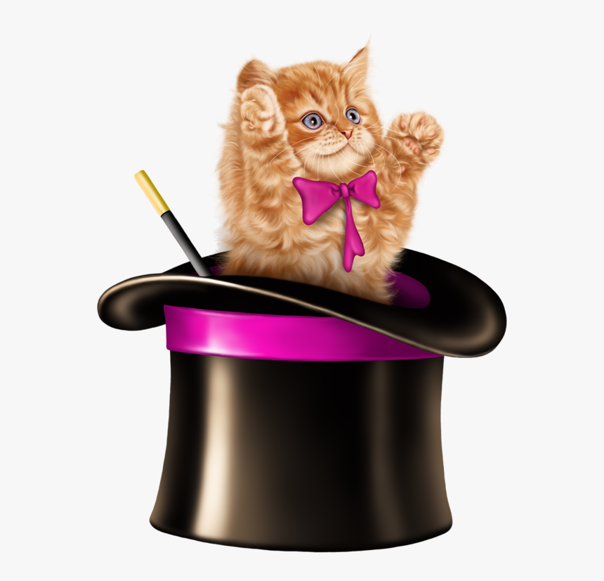 Kitten Cartoon, Kitten Images, Tube, Clip Art, Card - Cat In A Magic Hat, HD Png Download, Free Download