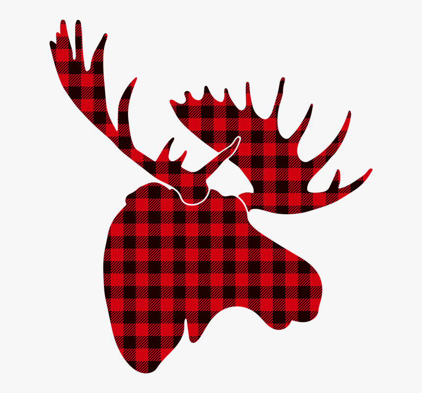 Moose, HD Png Download, Free Download