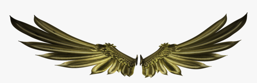 Thumb Image - Wings Logo 3d Png, Transparent Png, Free Download