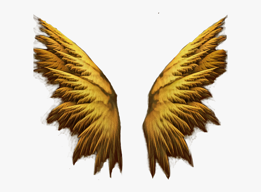 #golden #wings #angelwings - Gold Angel Wings Png, Transparent Png, Free Download