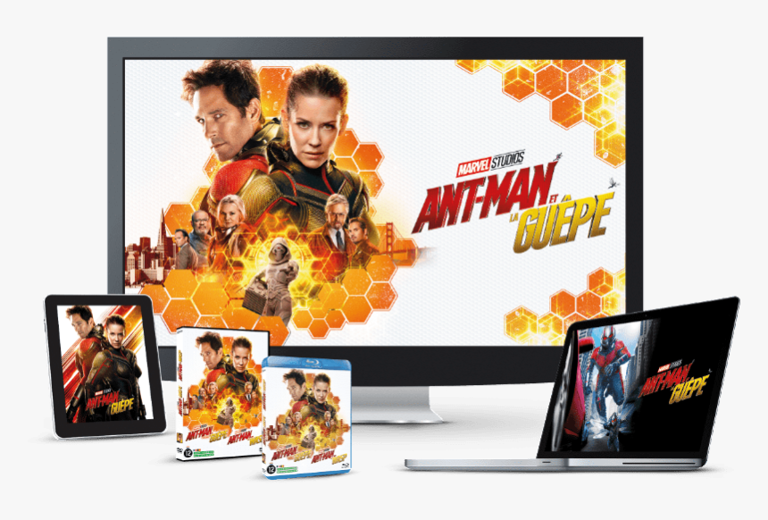 Thumb Image Ant Man Et La Guepe Dvd Blu Ray Hd Png Download Kindpng