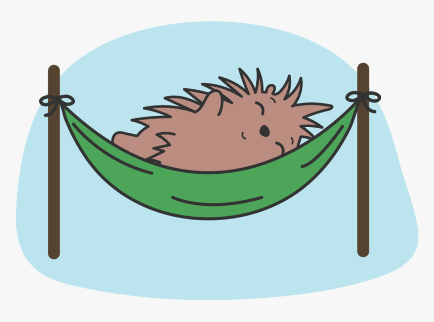 Porcupine-hammock, HD Png Download, Free Download