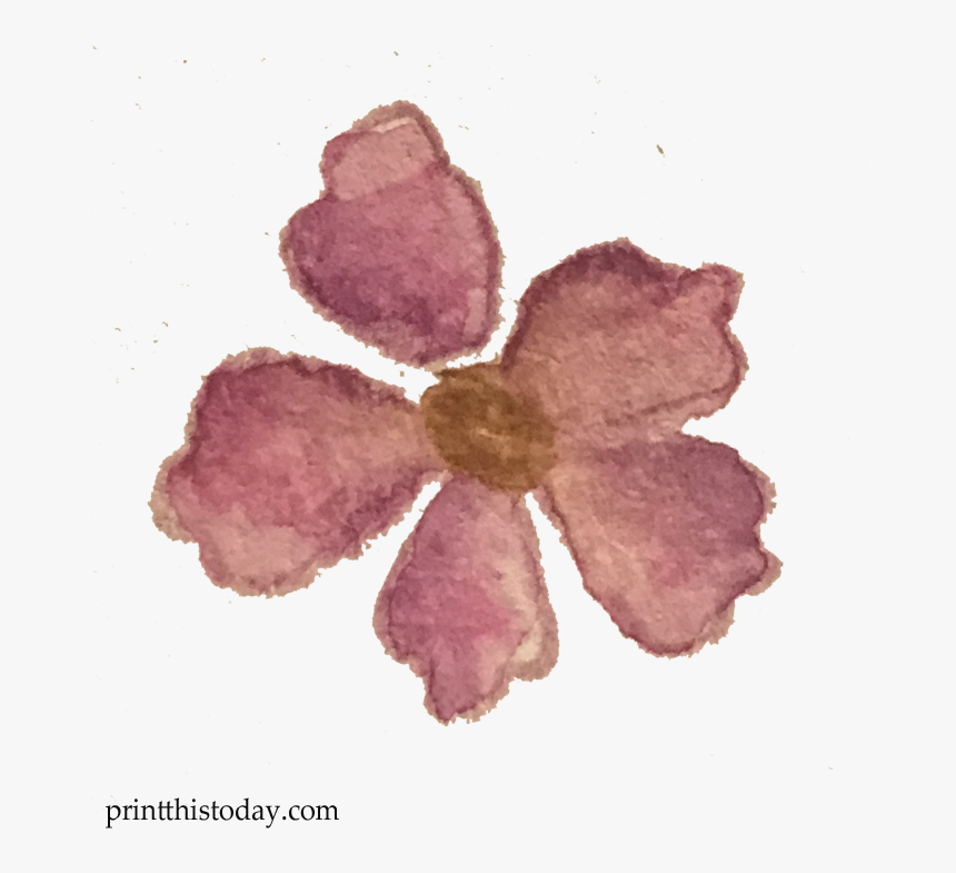 Free Watercolor Lilac Flower Clipart - Mayflower, HD Png Download, Free Download