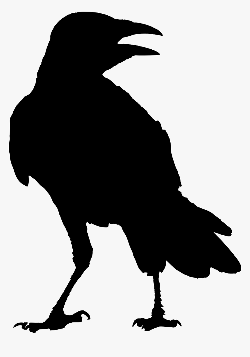 Svg Transparent Download Crow Clipart Raven Silhouette Transparent