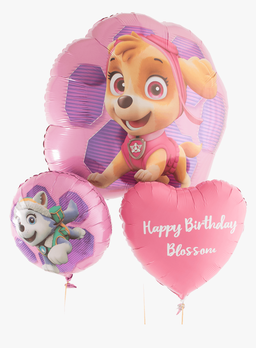 Paw Patrol Skye - Balloon, HD Png Download, Free Download