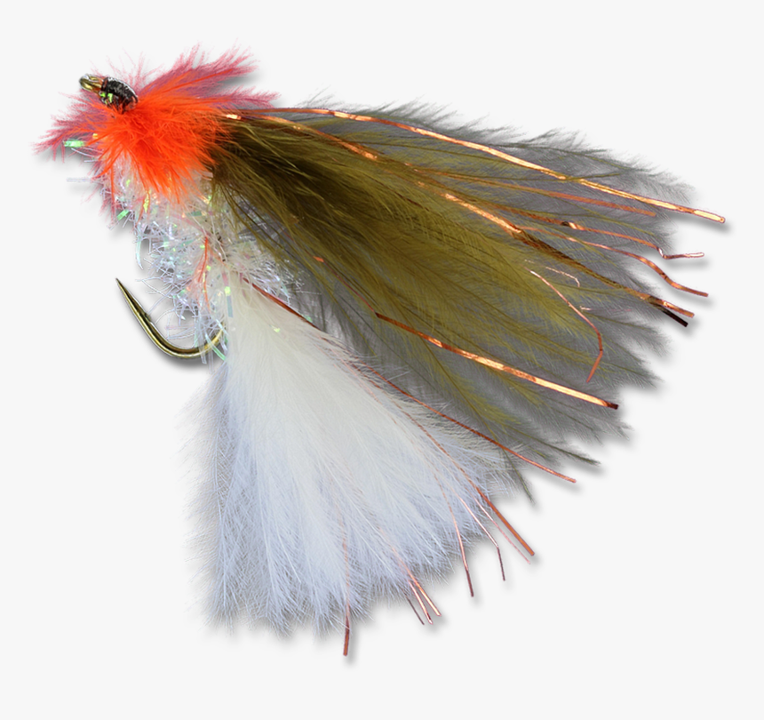 Zack"s Pyramid Minnow - Invertebrate, HD Png Download, Free Download