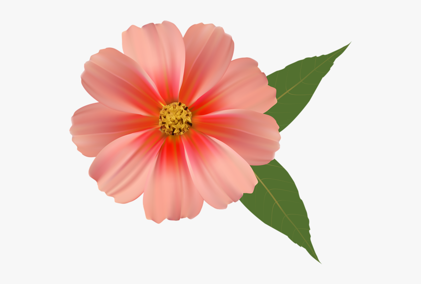 Flowers Png Image Download, Transparent Png - kindpng