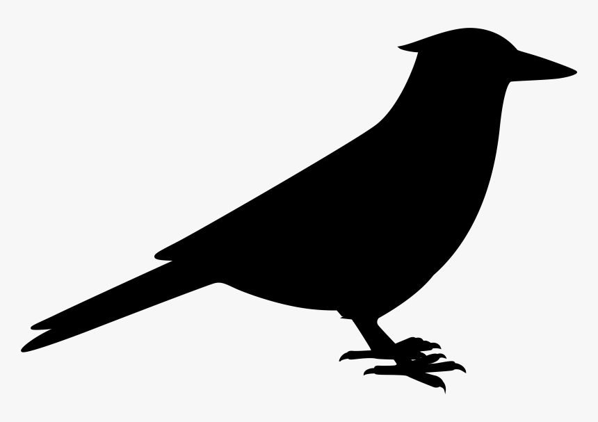 American Crow Fauna Common Raven Silhouette - Perching Bird, HD Png Download, Free Download