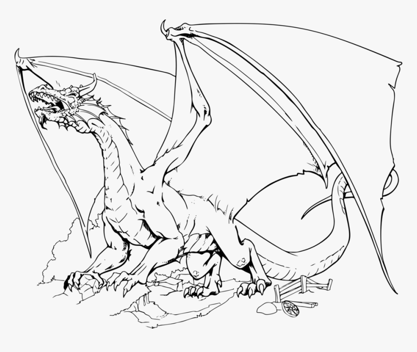 Line Art,head,art - Dungeons And Dragons Coloring, HD Png Download, Free Download