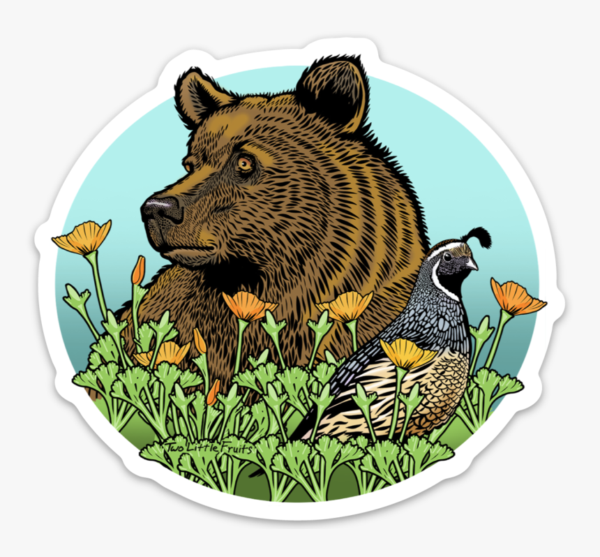 Grizzly Bear, HD Png Download, Free Download