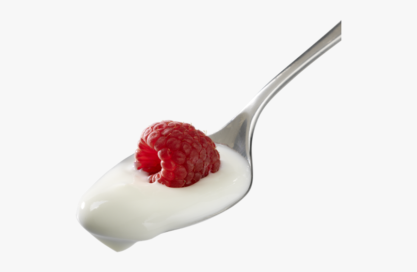 Contact Nancy"s Yogurt - Blancmange, HD Png Download, Free Download