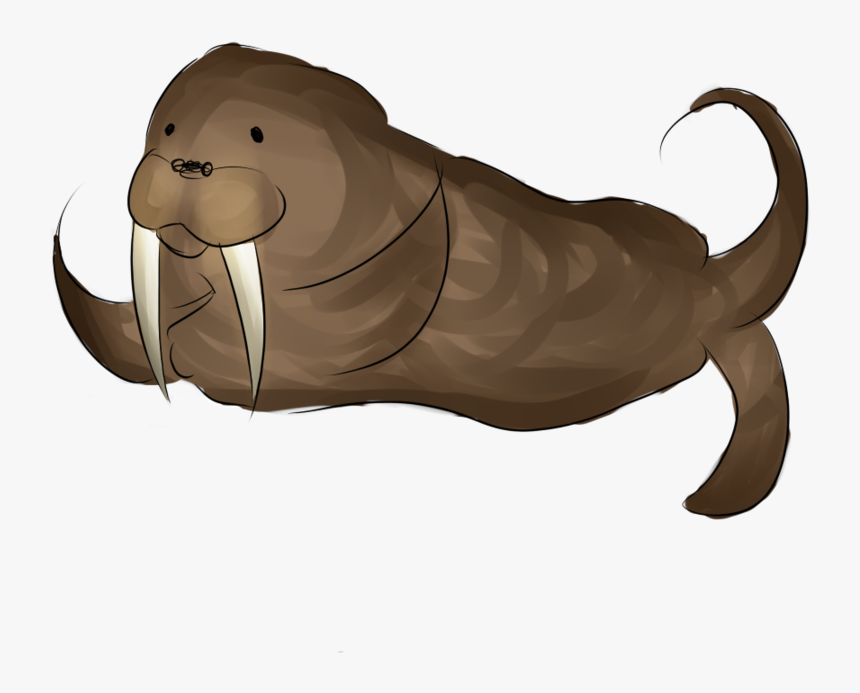 Drawn Walrus Transparent - Walrus, HD Png Download, Free Download