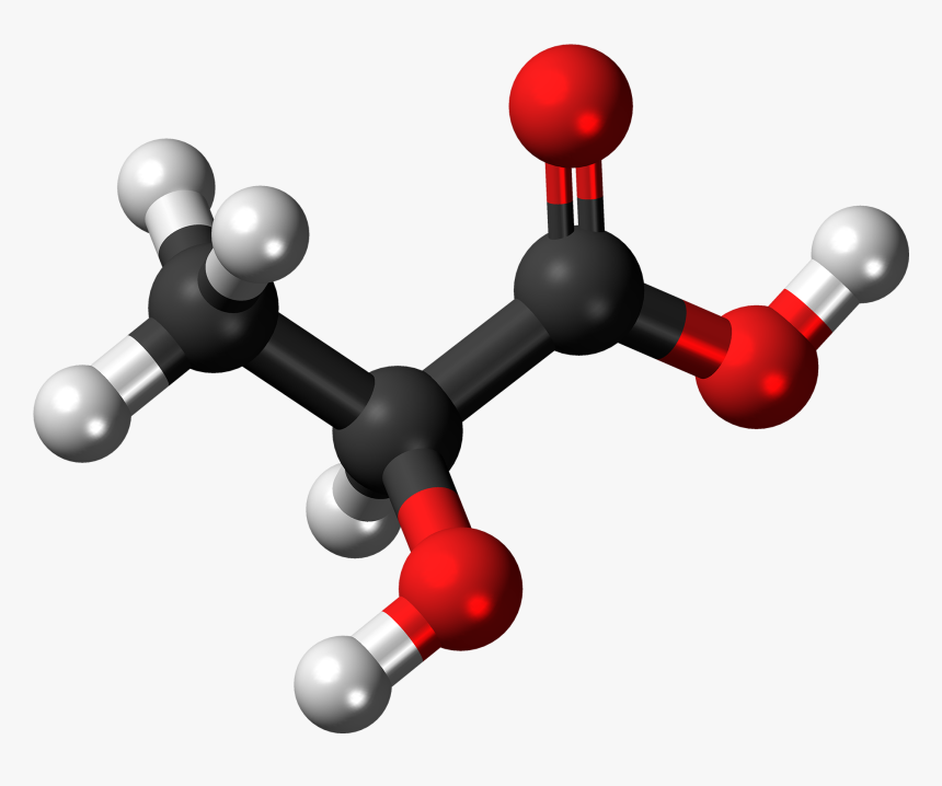 L-lactic Acid Molecule Ball - Lactic Acid Molecular Model, HD Png Download, Free Download