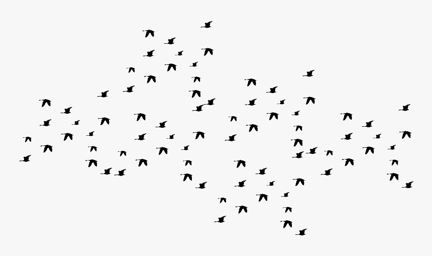 Flying Black Birds - Birds Flying Silhouette Png, Transparent Png, Free Download