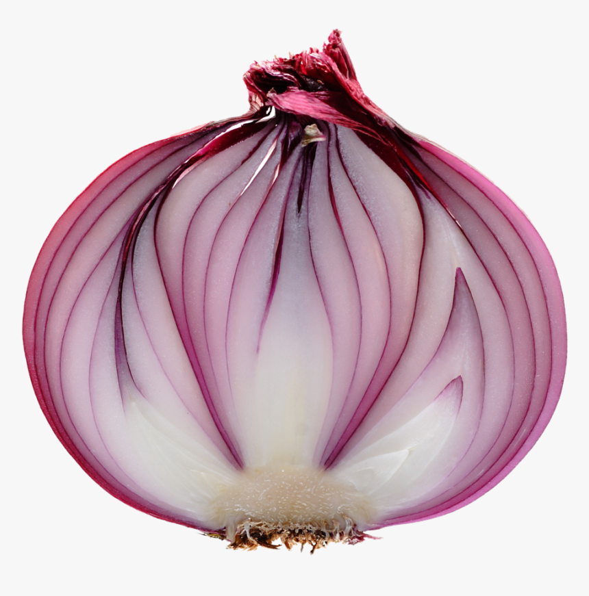 Transparent Red Onion Png, Png Download, Free Download