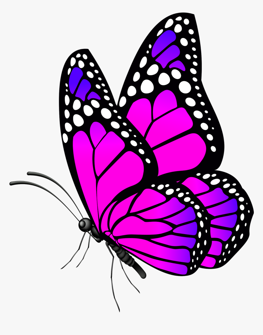 Free Desktop Wallpaper Butterflies Flowers, HD Png Download, Free Download