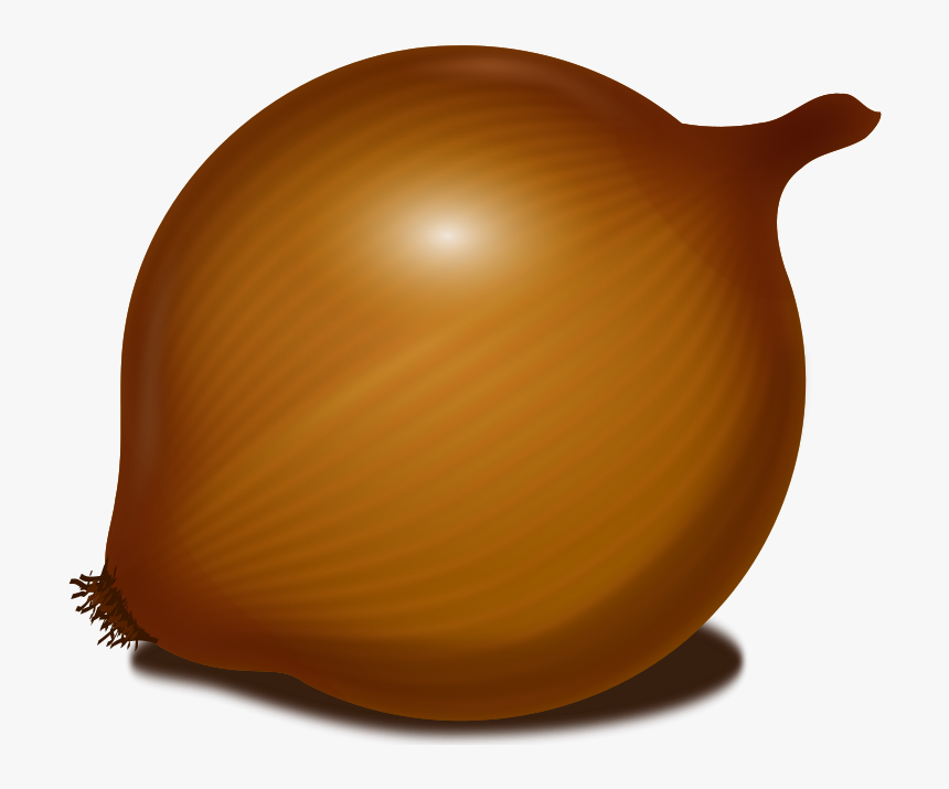 Onion Vector Png, Transparent Png, Free Download