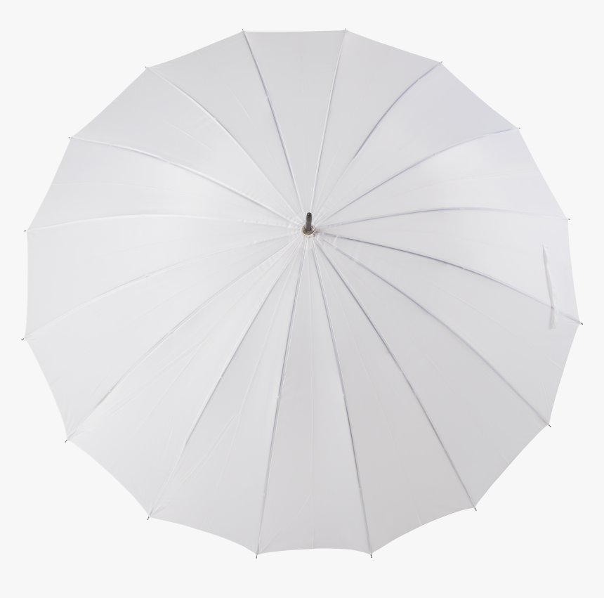 Umbrella, HD Png Download, Free Download