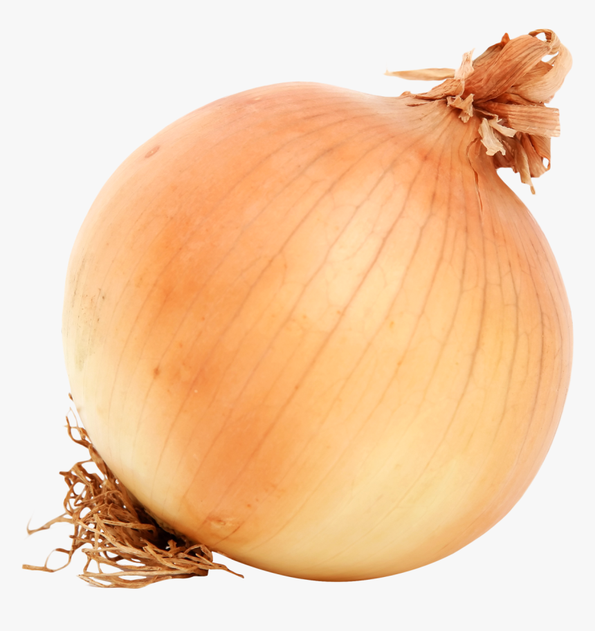 Allium - Onion Png, Transparent Png, Free Download