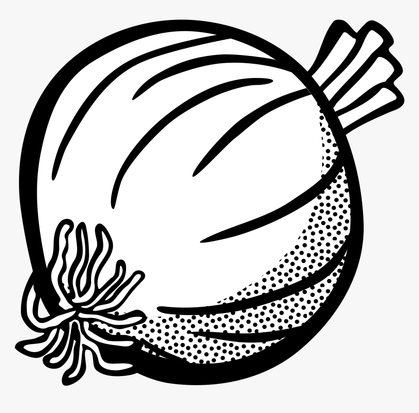 Onion - Onion Black And White Clipart, HD Png Download, Free Download