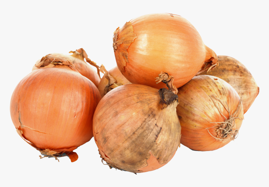 Onion Png Transparent Images - Vegetable Onion Download, Png Download, Free Download