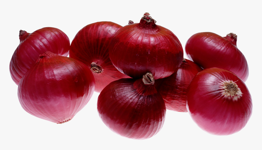 Onion Png, Transparent Png, Free Download