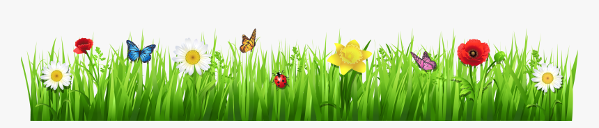 Spring Grass With Flowers Png Clipart Picture - Spring Grass And Flowers, Transparent Png, Free Download