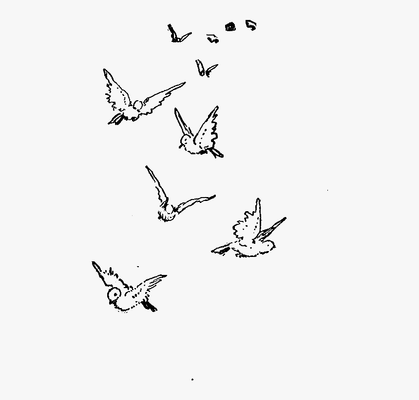 flying bluebird drawing
