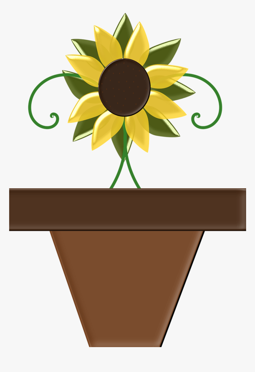 Black-eyed Susan, HD Png Download, Free Download