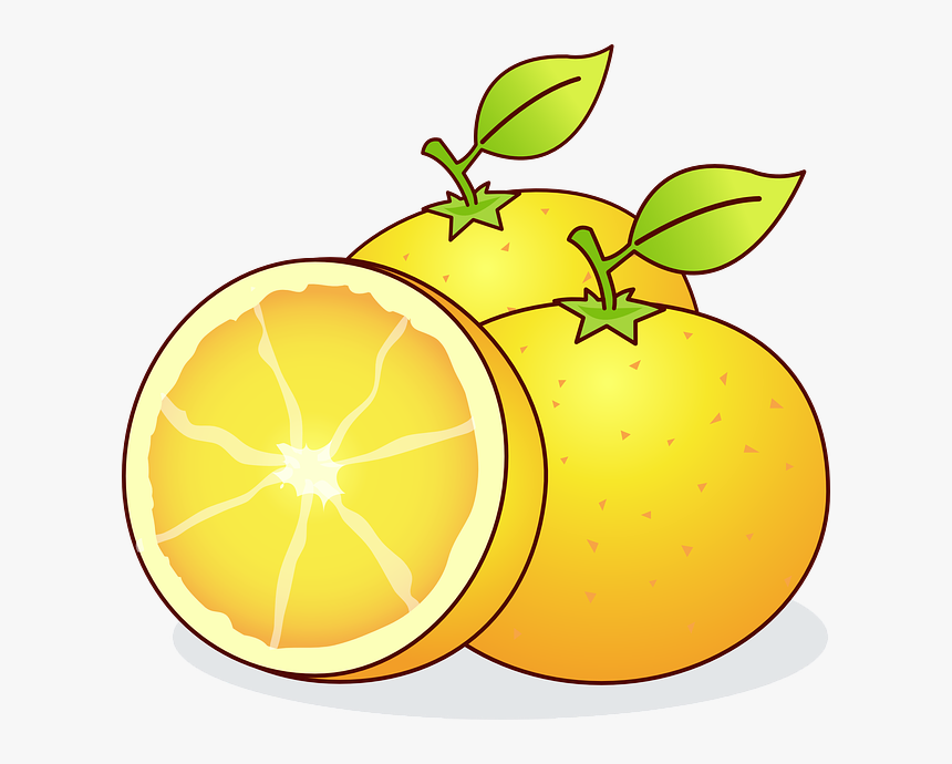 Clip Art Citrus Fruit Hd Png Download Kindpng