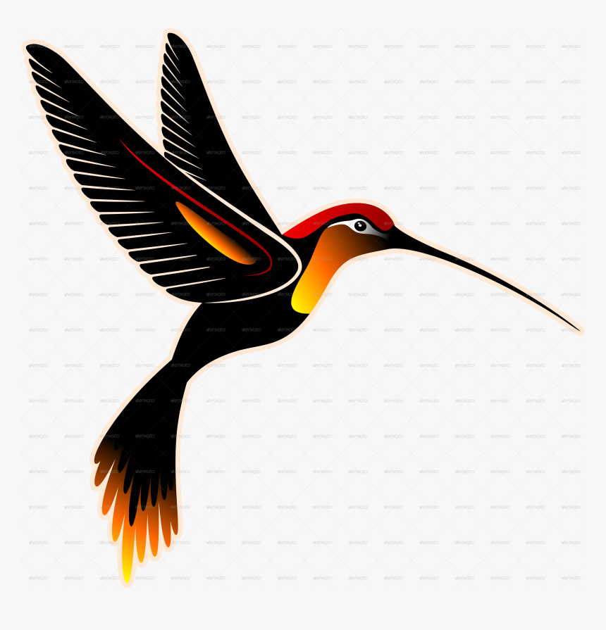 Free Free Vector Hummingbird Svg Free SVG PNG EPS DXF File