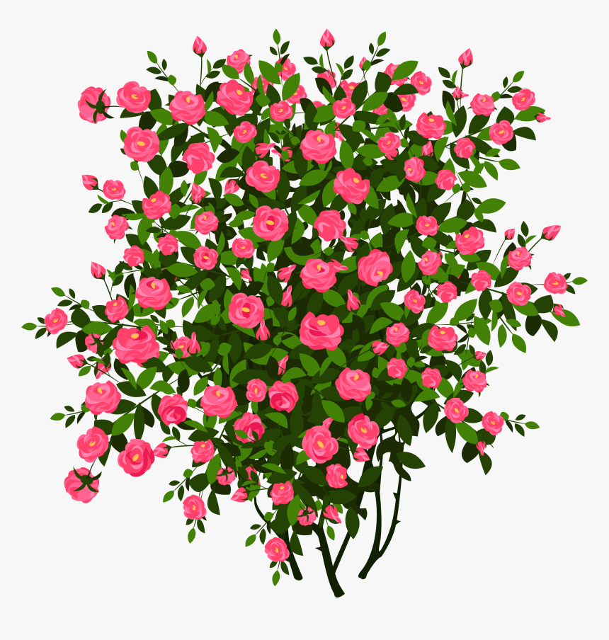 Pink Rose Bush Png, Transparent Png, Free Download