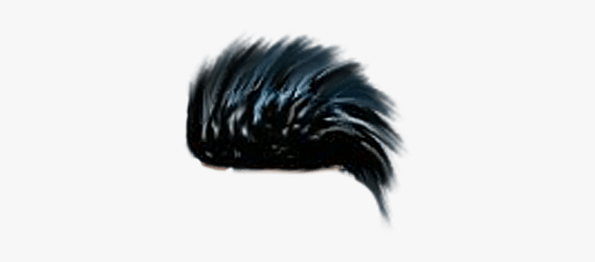 Porcupine, HD Png Download, Free Download